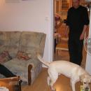 marek-viny-predani-08-P0000001.JPG