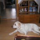 marek-viny-predani-08-P0000007.JPG