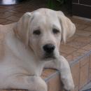 P1010007.JPG