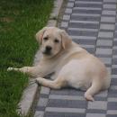 P1010009.JPG