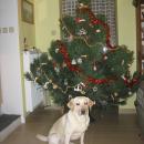 IMG_9289.JPG
