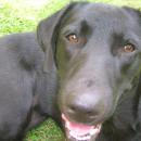 DSCN5727.JPG