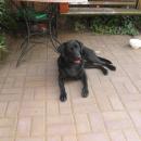DSCN5736.JPG