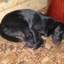 DSCN5744.JPG