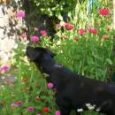 DSCN5774.JPG