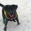 Wally_2010-01-09-14-12-19.jpg