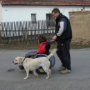 Na procházce se cvičitelem ... a jeho dětmi