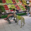 frigo-predavani-8-2004-01.JPG