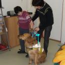 DSCF3554.JPG