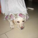IMG_9335.JPG