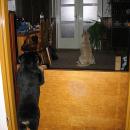 IMG_9472.JPG