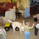 IMG_9721.JPG