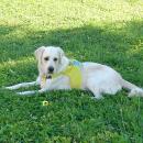 DSC00079.JPG
