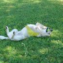 DSC00085.JPG