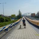 S6300701.JPG