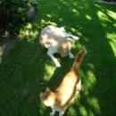 DSCN3447.JPG