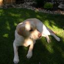 DSCN3450.JPG