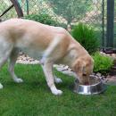 DSCN3645.JPG