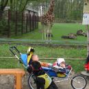 DSC02333a.jpg