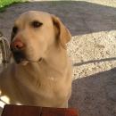 marfy003.jpg