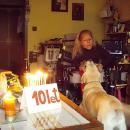Fellini 10 let - oslava