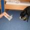 P1010005.JPG