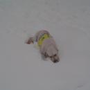 DSC00194.JPG