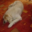 DSC00202.JPG