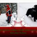 PF2011-Trckovi.jpg