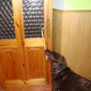 DSC00164.JPG