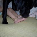 000_0016.JPG