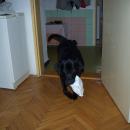 000_0022.JPG