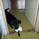 000_0028.JPG