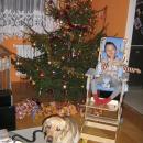 IMG_1350.JPG