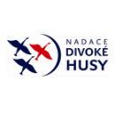 Divoké husy