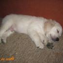 IMG_2907.JPG