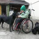 Míša venčí Arana
