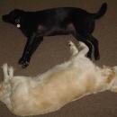 DSC00276.JPG