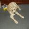 zorka1010022n.JPG