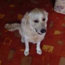 DSC00280.JPG