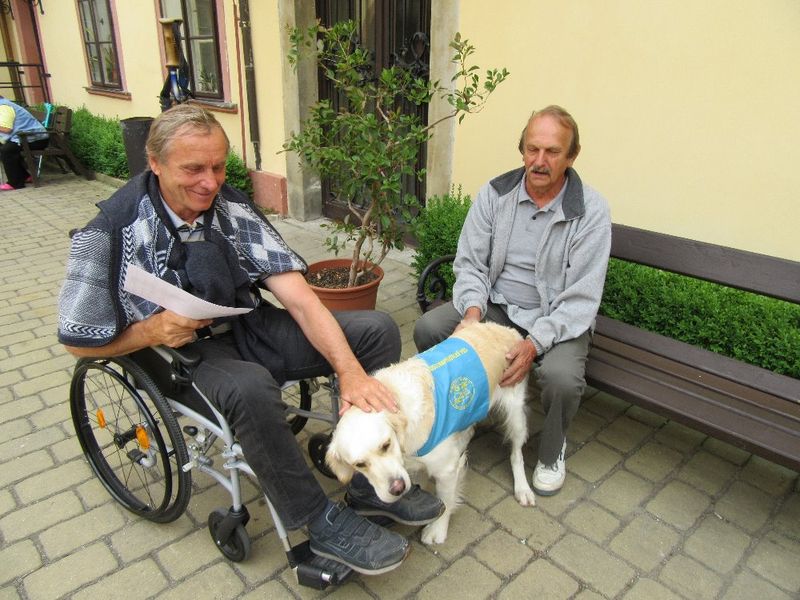 Canisterapeutický pes Joey a DS Heřmanův Městec