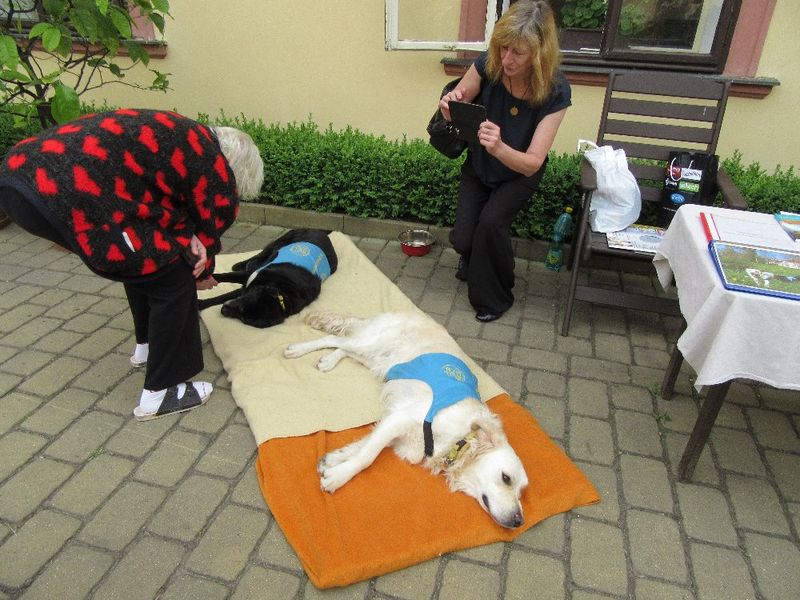 Canisterapeutický pes Joey a DS Heřmanův Městec