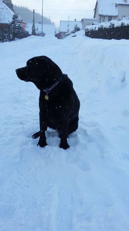 Olin miluje sníh