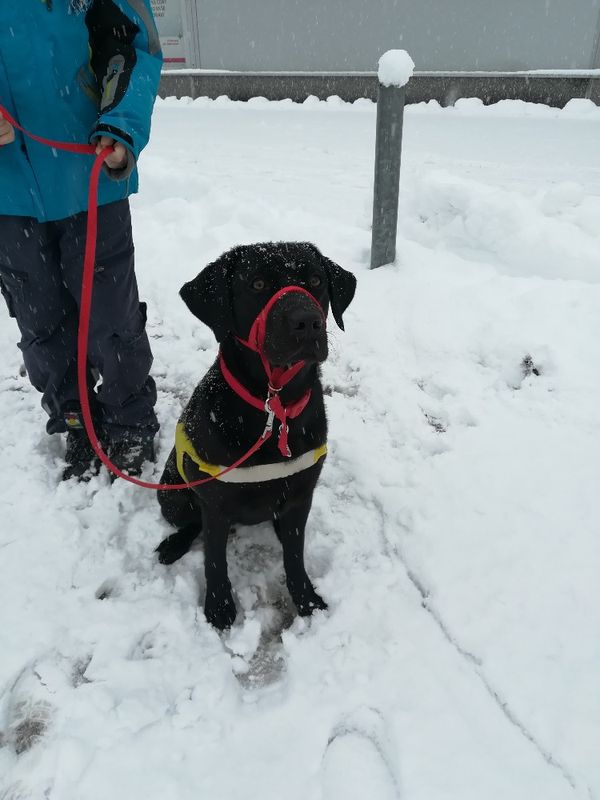 Zoe a Kája si první vločky sněhu vyloženě užily