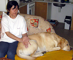 Canisterapie s asistenčním psem