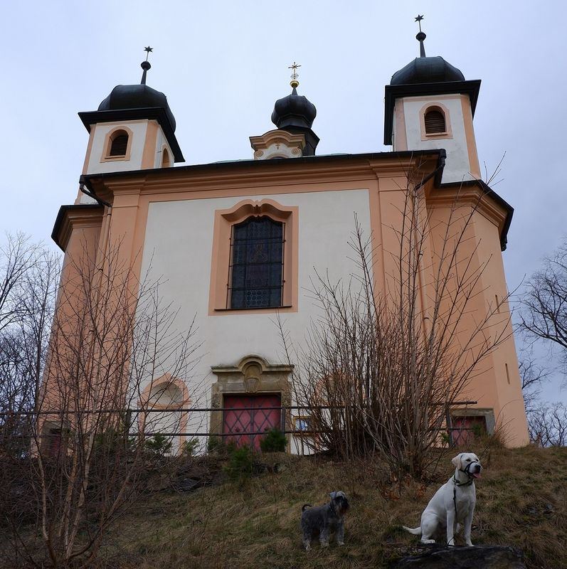 Mája v předvýchově