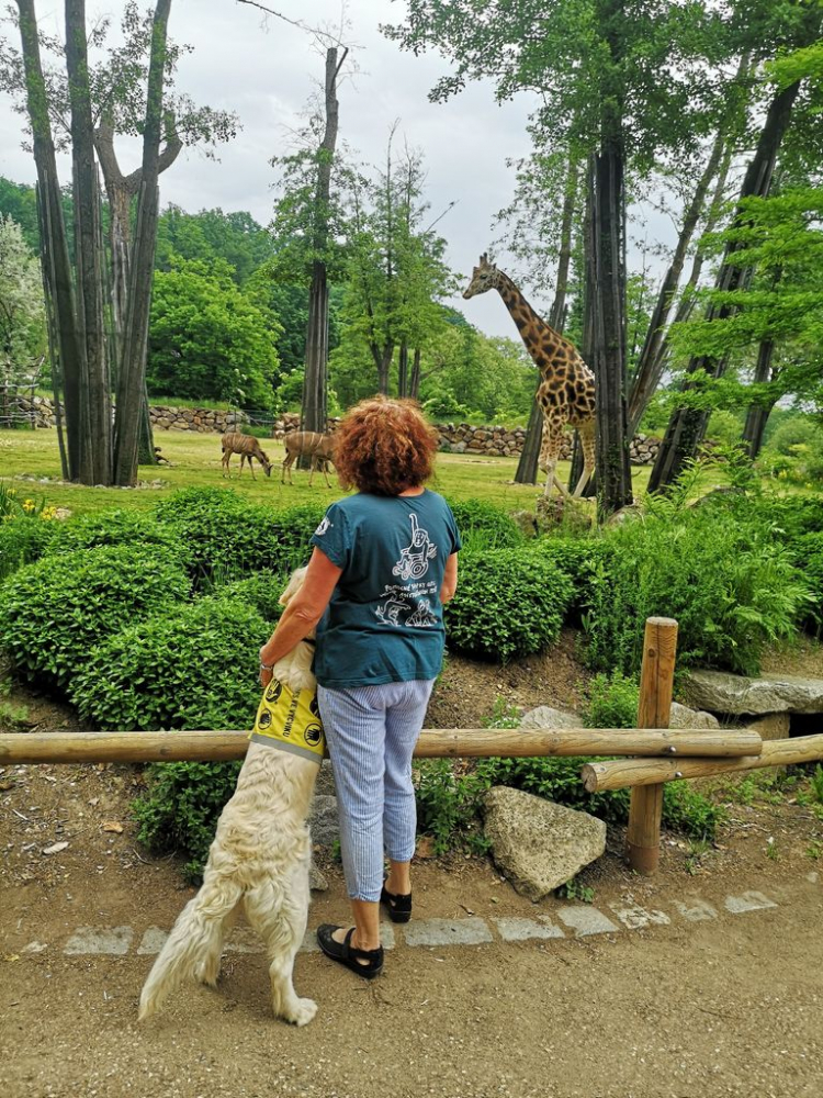 2021-06-zoo-plzen