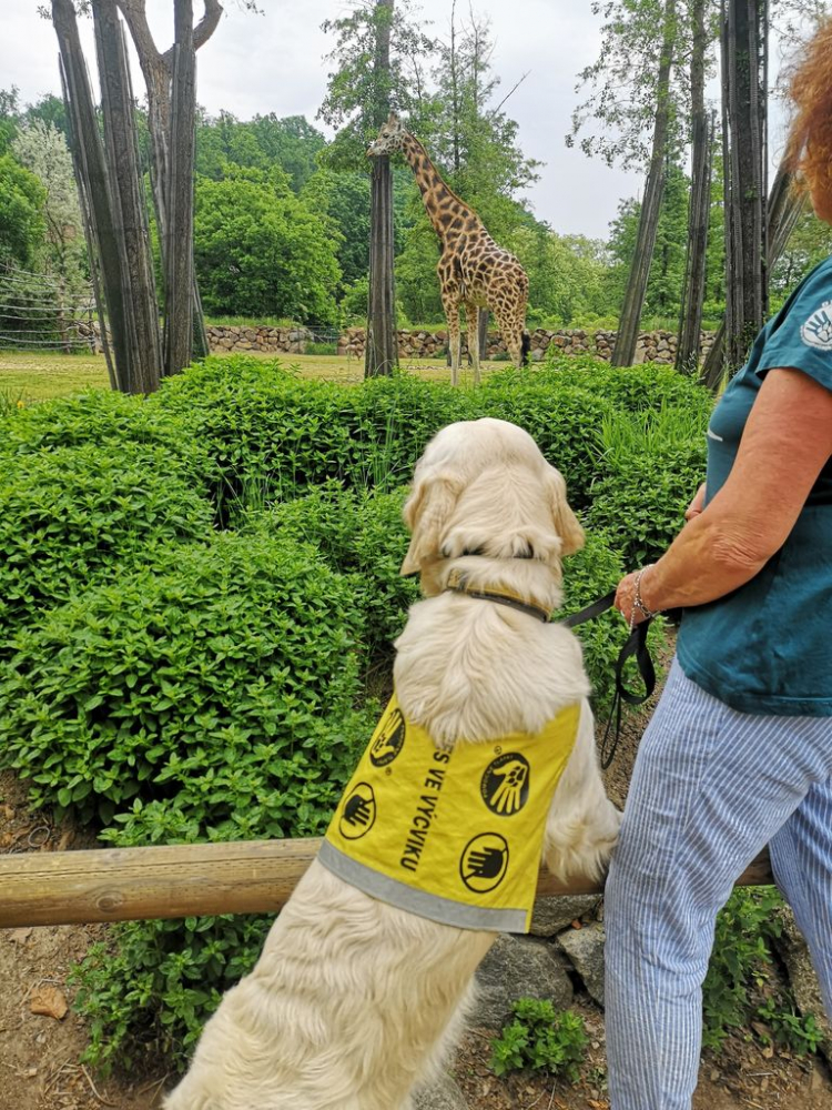 2021-06-zoo-plzen
