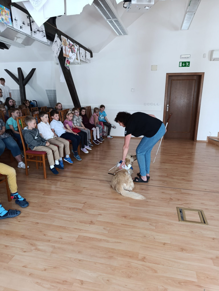 25-06-sd-plzenec