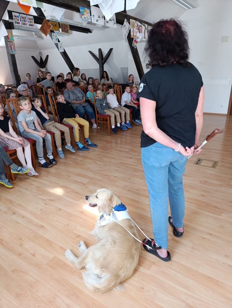25-06-sd-plzenec